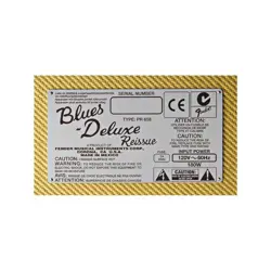 DELUXE REISSUE GUITAR