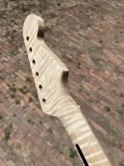 REVERSE HEADSTOCK 22FRET