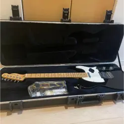 MINT FENDER AMERICANSTANDARD TELECASTER NO.LG834