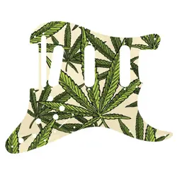 READY STRATOCASTER CANNABIS