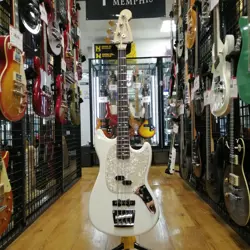 BASS MODEL