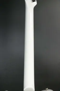 TELECASTER MAPLE ARCTIC