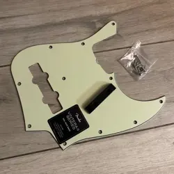 PICKGUARD '66 '62