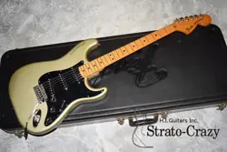 ANNIVERSARY STRATOCASTER SILVER/