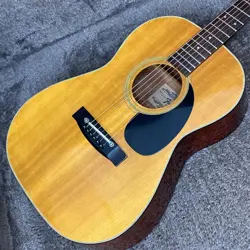 FENDER F-15