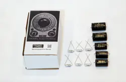 VINTAGE FENDER BANDMASTER AND PRO RECAP KIT