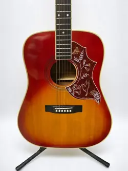 HUMMINGBIRD ACOUSTIC-ELECTRIC GUITAR
