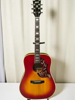 HUMMINGBIRD DREADNOUGHT