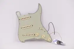 PICKGUARD 30TH ANNIVERSARY