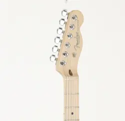 PROFESSIONAL TELECASTER MN