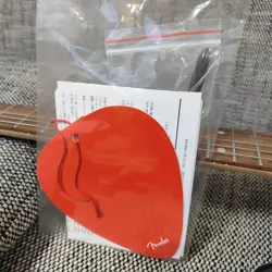 FENDER AFFINITY SQUIER