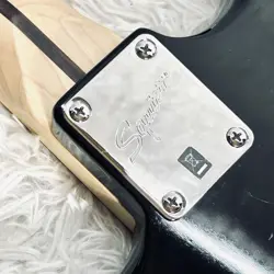 HUMBUCKERS SAFE