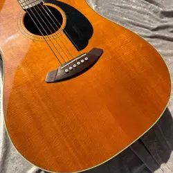 KINGMAN ACOUSTIC ELECTRIC