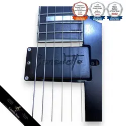 FENDER JAPAN D'AQUISTO