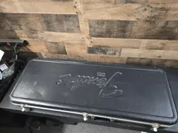 STANDARD STRATOCASTER DAN