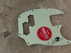 PICKGUARD SWITCH MINT