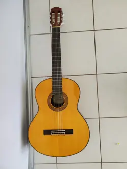 ACOUSTIC GUITAR~