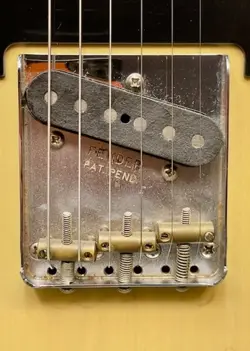 ALDERBODY MAPLENECK W/SOFTCASE