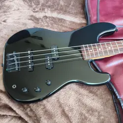 FENDER PJBASS
