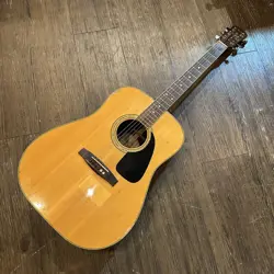 GUITAR SOLID ENGELMANN
