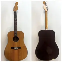 ACOUSTIC DREADNOUGHT