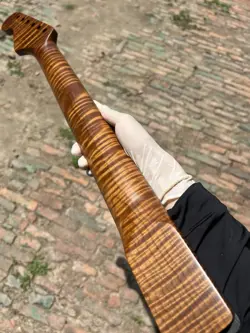 FENDER START ROSEWOOD