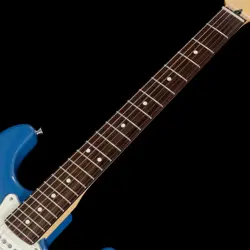 STRATOCASTER ROSEWOOD FOREST