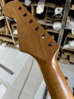 STEEL 22FRET