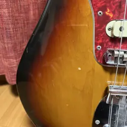 JAGUAR FENDER