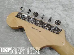 ELECTRIC GUITAR 2007