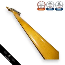 ELECTRIC GUITAR 2011