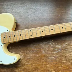 SERIAL TELECASTER