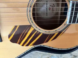 PS-220E PARLOR ACOUSTIC