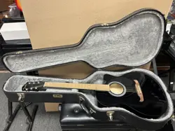 GUITAR FISHMAN PICKUP