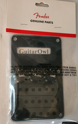 FENDER GUITAR BLACK STRAT ACCESSORY KIT  BACKPLATE KNOBS COVERS 0991363000