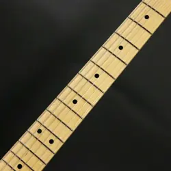 BUTTERSCOTCH BLONDE SN