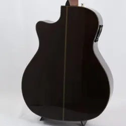 ACOUSTICS GA-45SCE