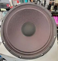 NEW OLD STOCK FENDER SPECIAL DESIGN 12