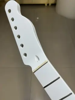 STAINLESS STEEL 22FRETS