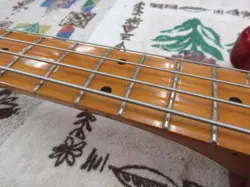 SPECIAL ELECTRIC BASS