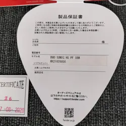 GUITAR WITH HUMBUCKERS