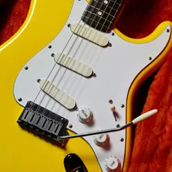 STRATOCASTER PLUS ROSEWOOD