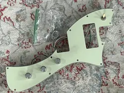PICKGUARD POTS MINT