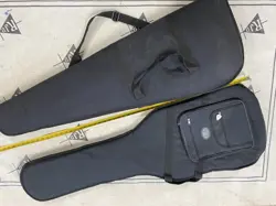 TWO ELECTRIC ELECTRIC