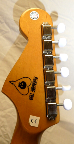 SERIES MAHOGANY ACOUSTIC/ELECTRIC