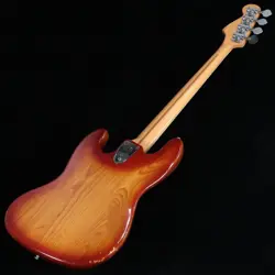 LONG-TERM DISPLAY ITEM