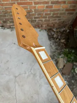 FRETS STRAT ELECTRIC