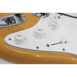 VINTAGE REISSUE ELECTRIC