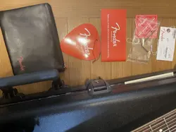 AMERICANPROFESSIONAL STRATOCASTER