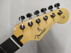 EBONY FRETBOARD TUNERS